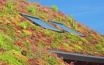 Llandysilio living roof systems