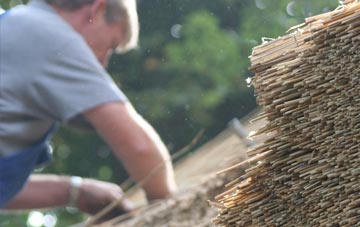 professional Llandysilio thatchers